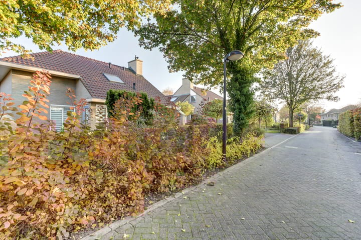 Foto 49 van Herfst 113