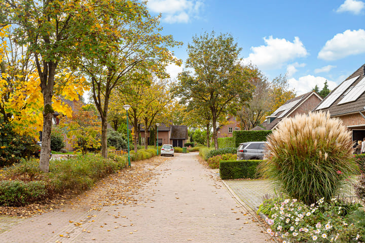 Photo 76 of Vlasakker 20