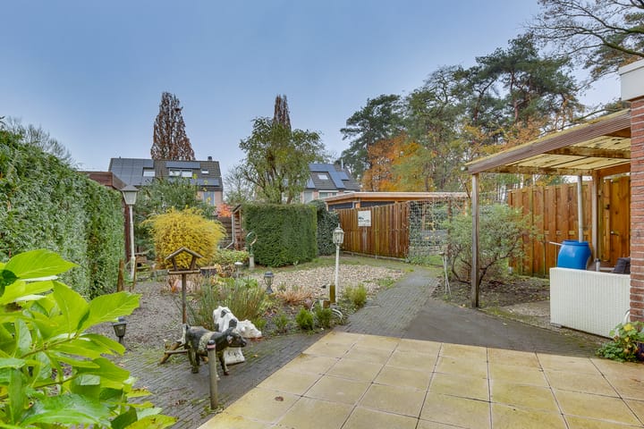 Foto 3 van Daslook 18