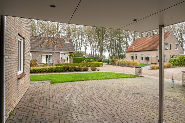 Photo 10 of Meseame 19