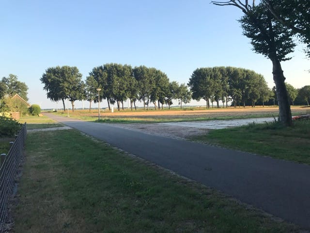 Foto 3 van Zuiderdiep 415 K