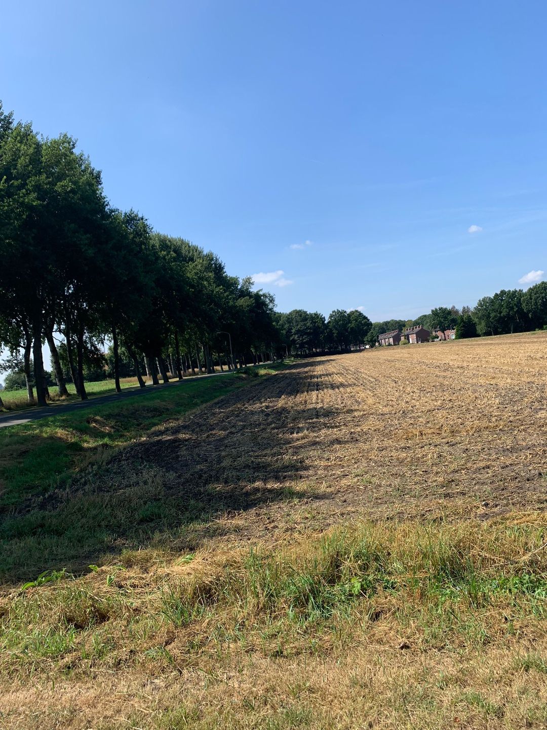 Foto 17 van Zuiderdiep 415 K