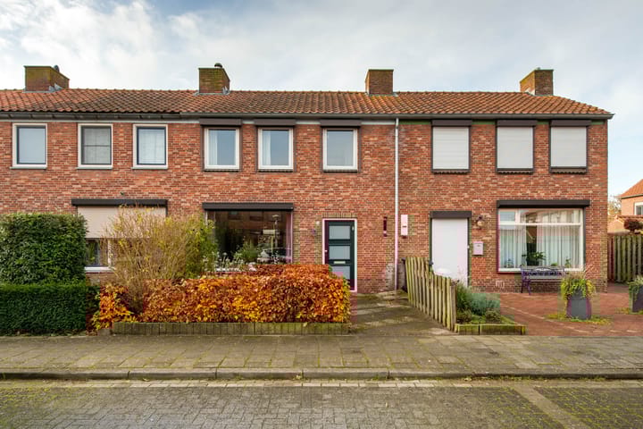 undefined main image