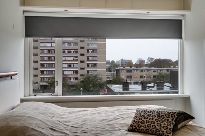 Foto 15 van Fruinplantsoen 20