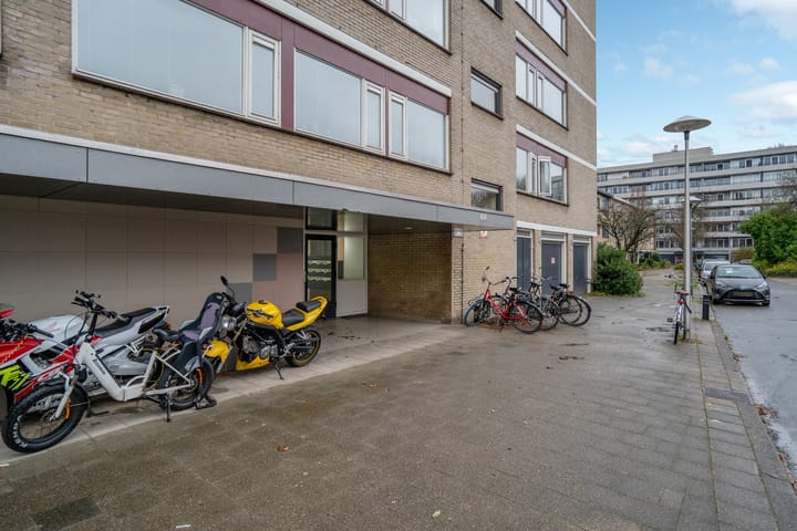 Foto 30 van Fruinplantsoen 20