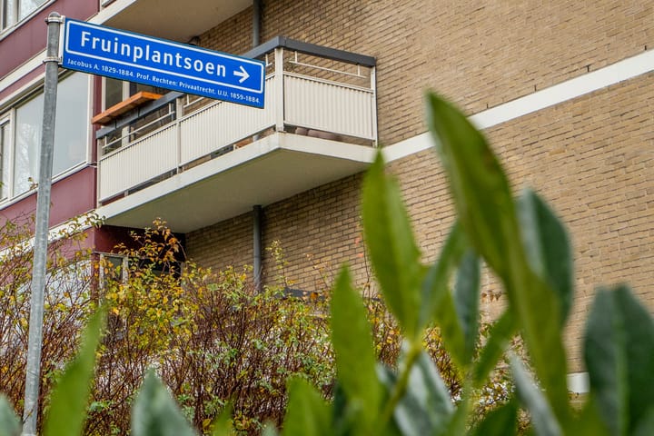 Foto 31 van Fruinplantsoen 20