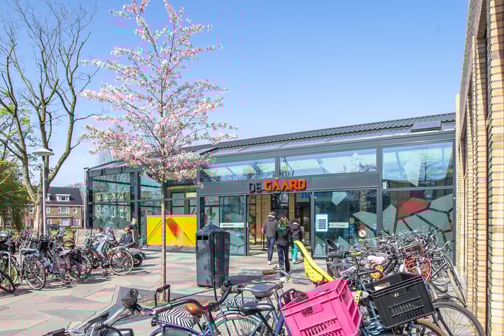 Foto 37 van Fruinplantsoen 20