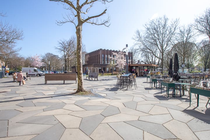 Foto 39 van Fruinplantsoen 20