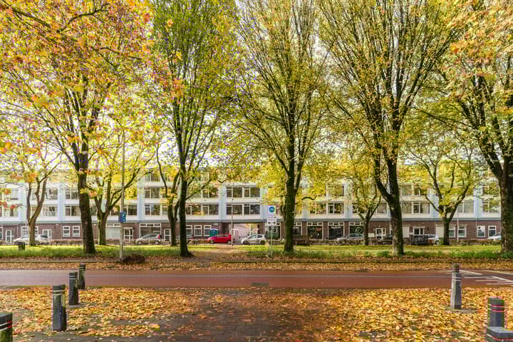 Foto 37 van President Steijnstraat 96