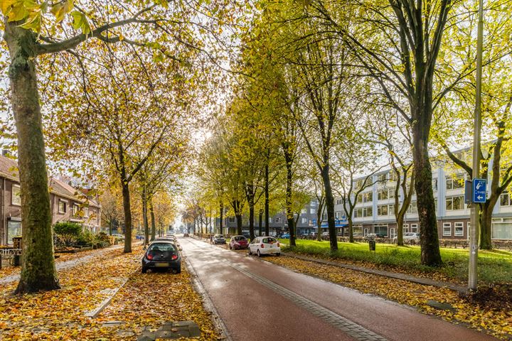 View photo 38 of President Steijnstraat 96