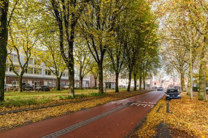 Foto 40 van President Steijnstraat 96