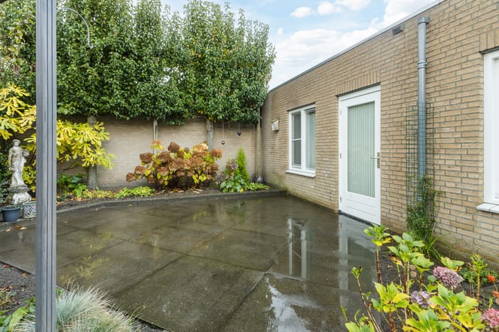 Foto 39 van Visven 622