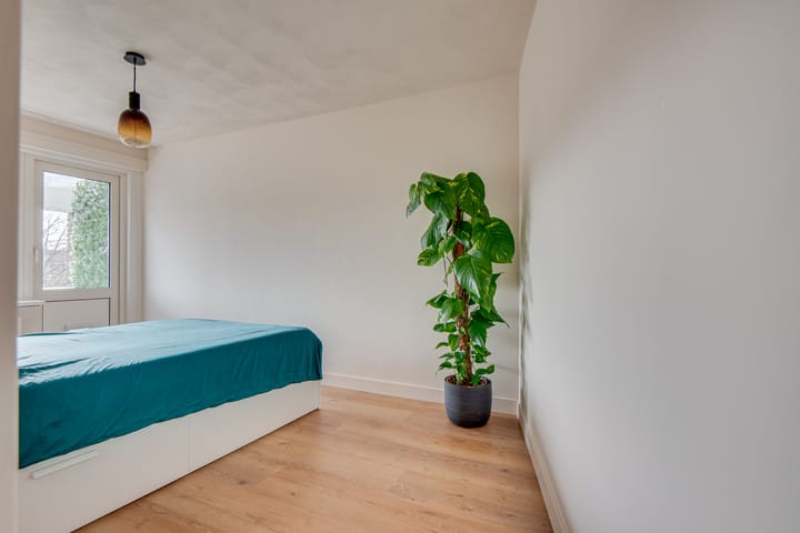 Foto 18 van Jacob Cnodestraat 65