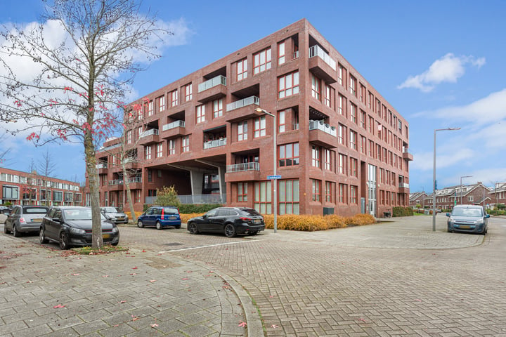 View photo of Aronskelkstraat 50