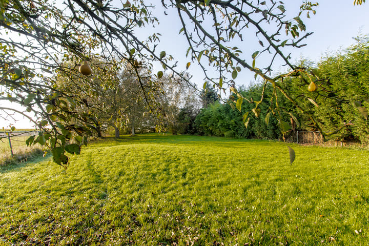 Photo 56 of Hoge Maasdijk 150