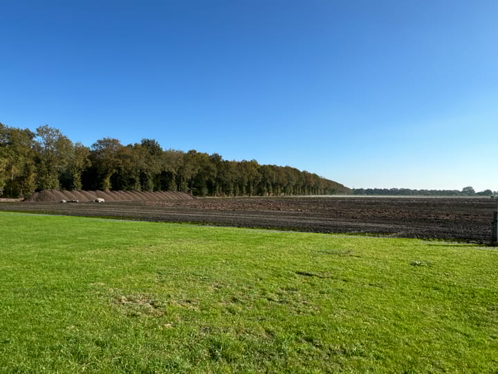 Foto 11 van Gelpenberg 17-A