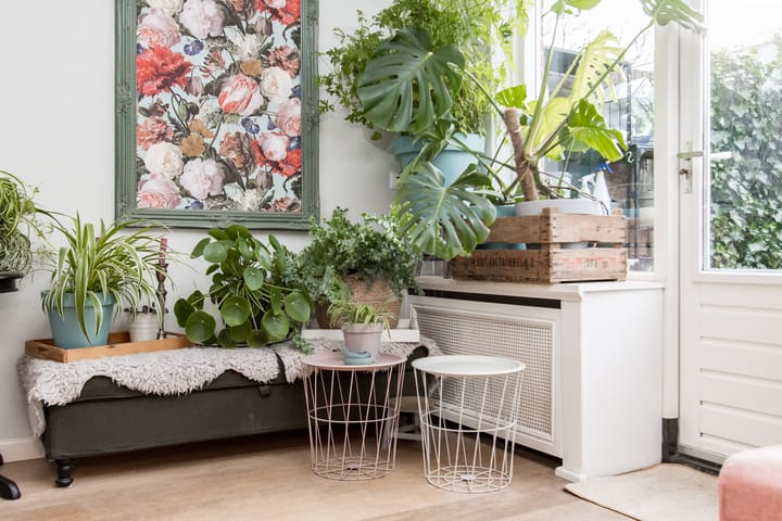 Foto 8 van Buitentuin 67