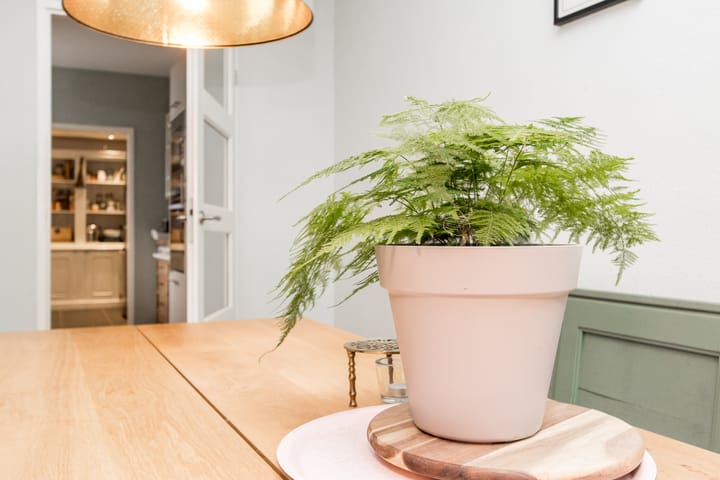 Foto 10 van Buitentuin 67