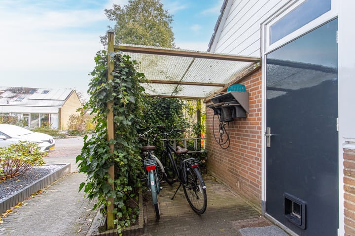 Foto 52 van Buitentuin 67