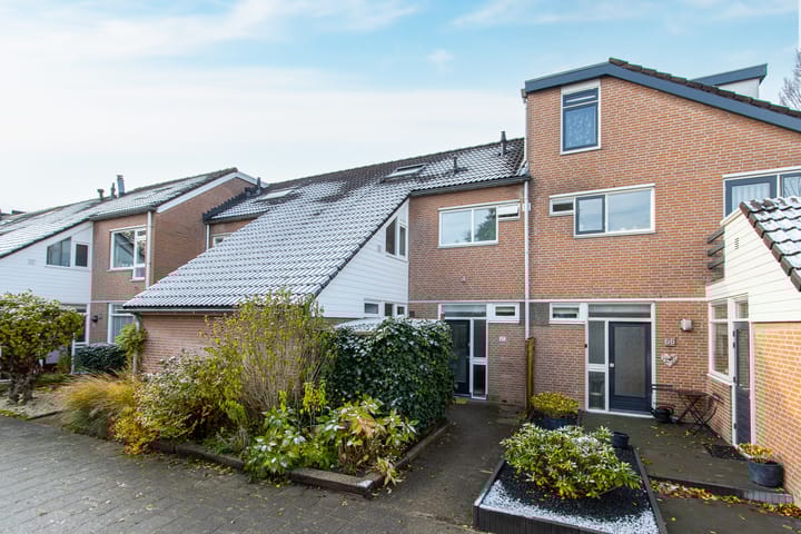 Foto 55 van Buitentuin 67