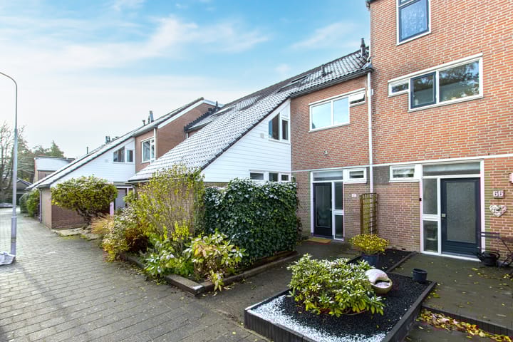 Foto 56 van Buitentuin 67