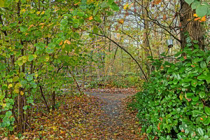 Foto 24 van Abersland 1525