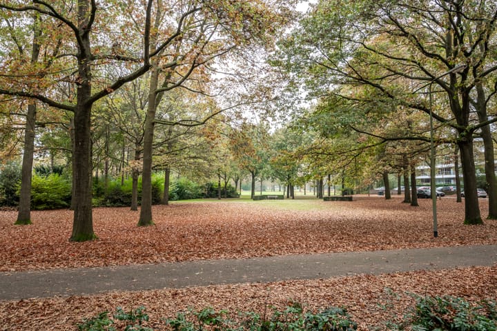 Foto 23 van Sibeliuspark 764