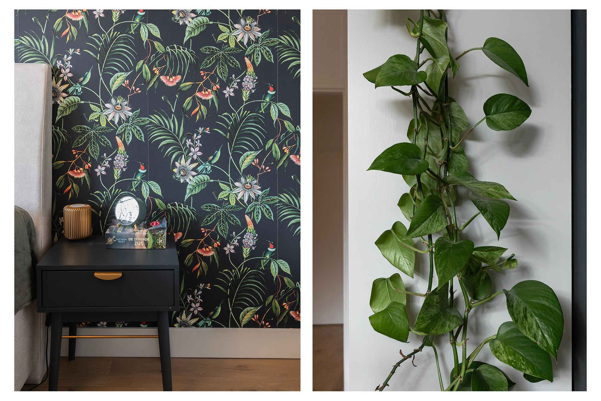 Photo 18 of Riouwstraat 74