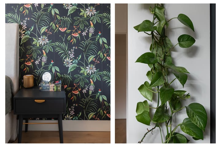 Foto 18 van Riouwstraat 74