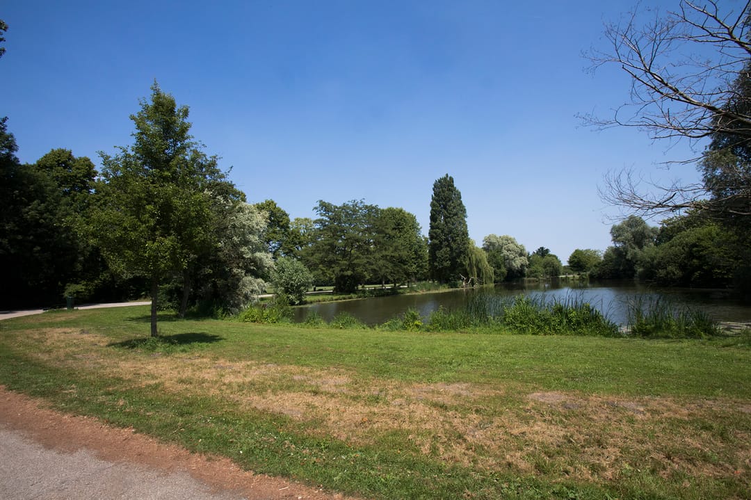 Photo 38 of Riouwstraat 74