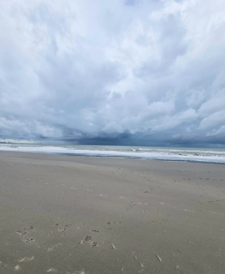 Foto 34 van Houtrustweg 433