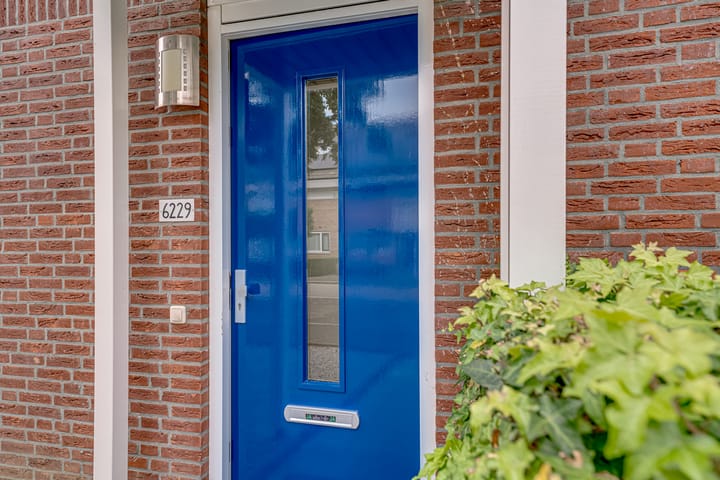 Foto 5 van de Lingert 6229