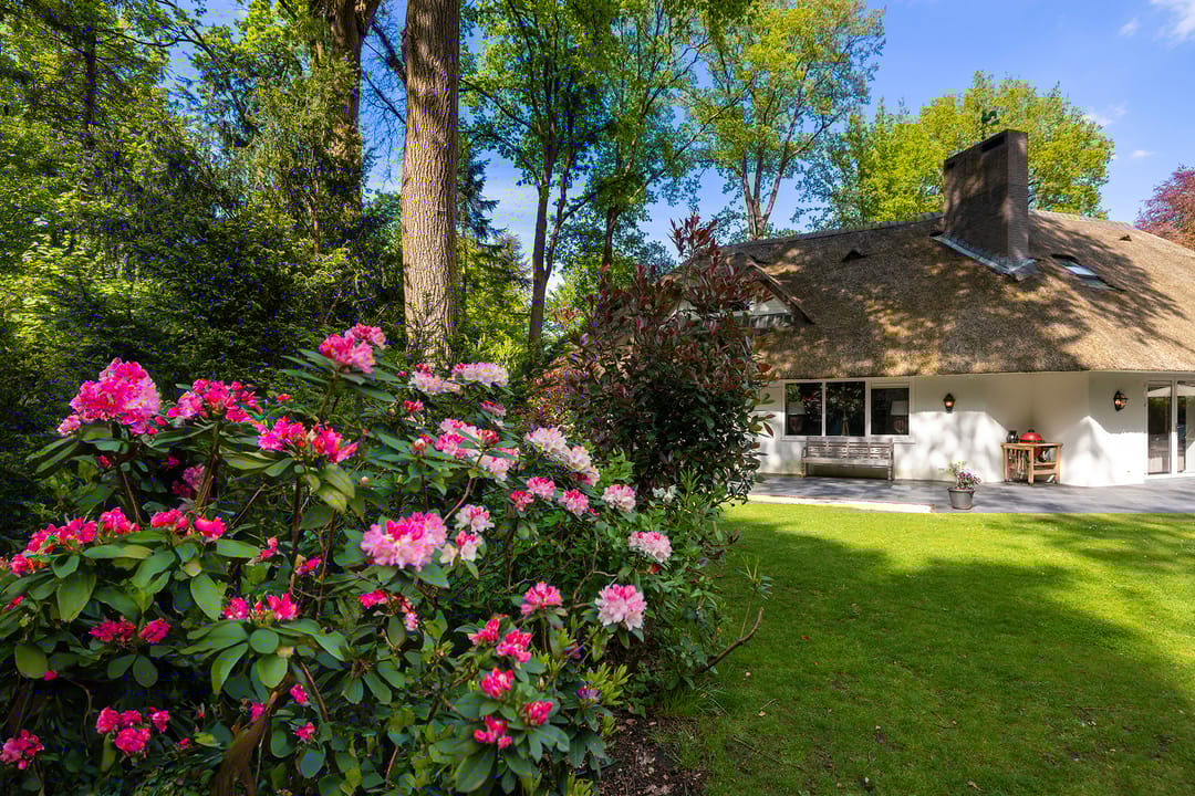 Foto 41 van Torenlaan 66-A