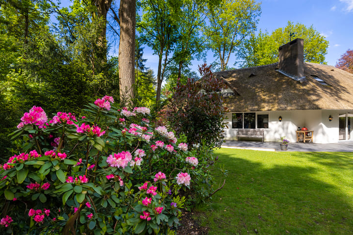 Foto 41 van Torenlaan 66-A