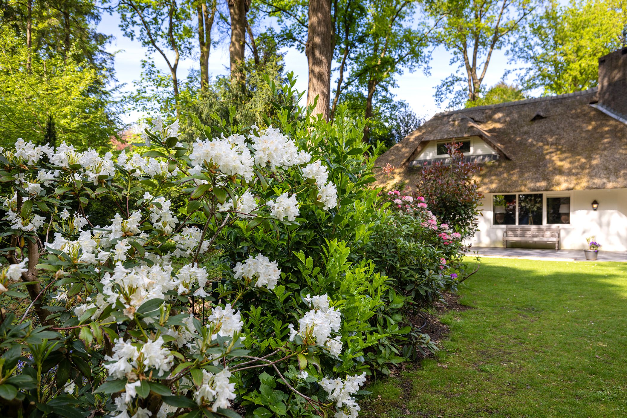 Foto 42 van Torenlaan 66-A