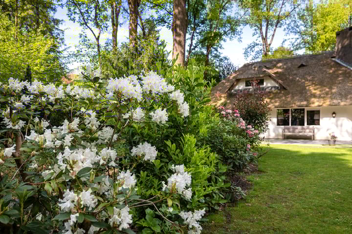 Foto 42 van Torenlaan 66-A