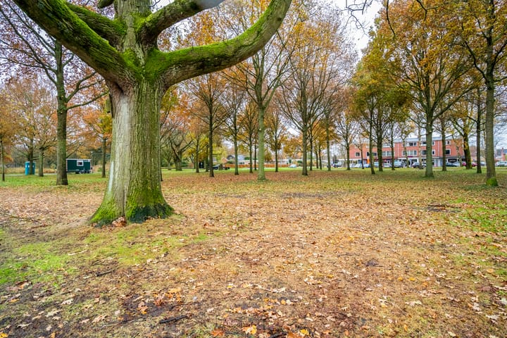 Foto 34 van Ds. Sannesstraat 170