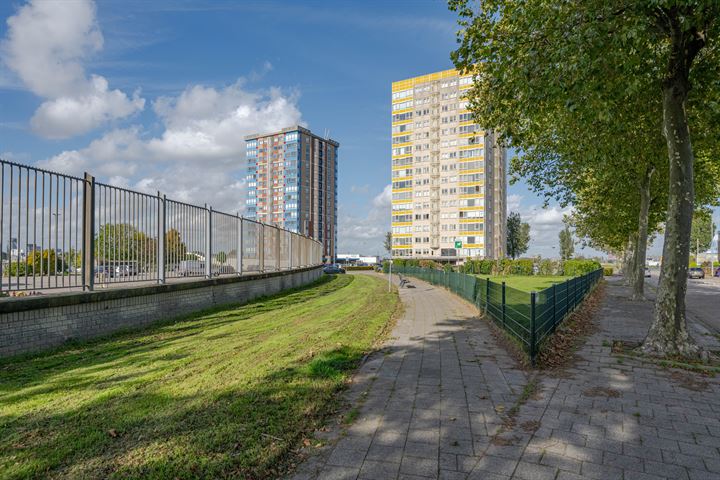 Bekijk foto 6 van Regenboogkade 29