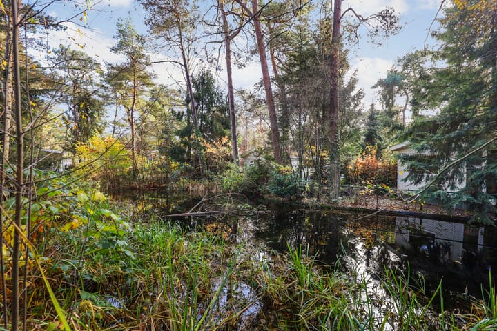 Foto 2 van Hoge Bergweg 16-164