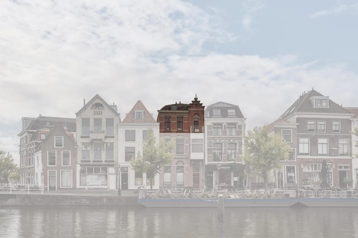 Photo 42 of Turfmarkt 4-D