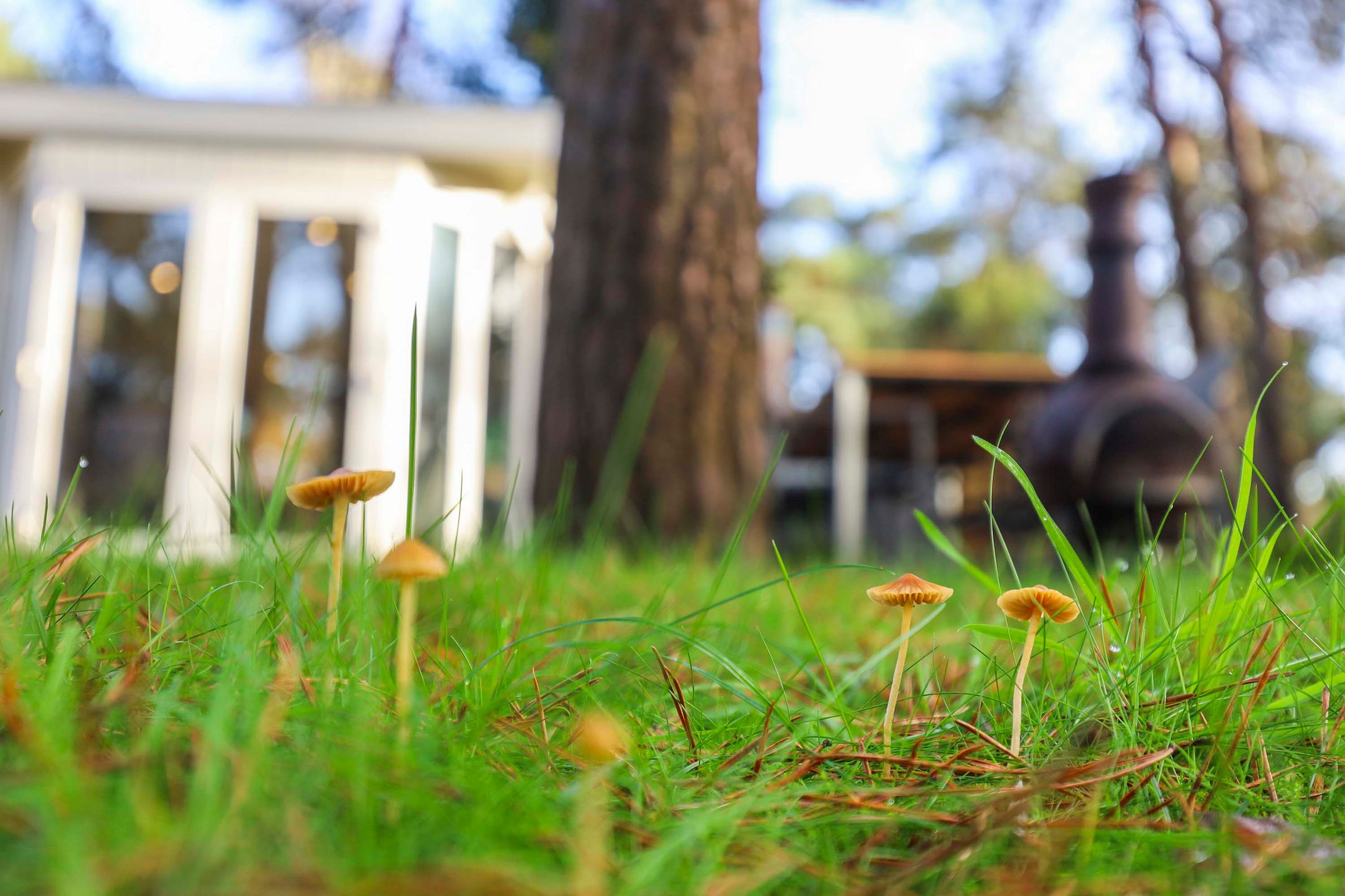 Foto 21 van Hoge Bergweg 16-164