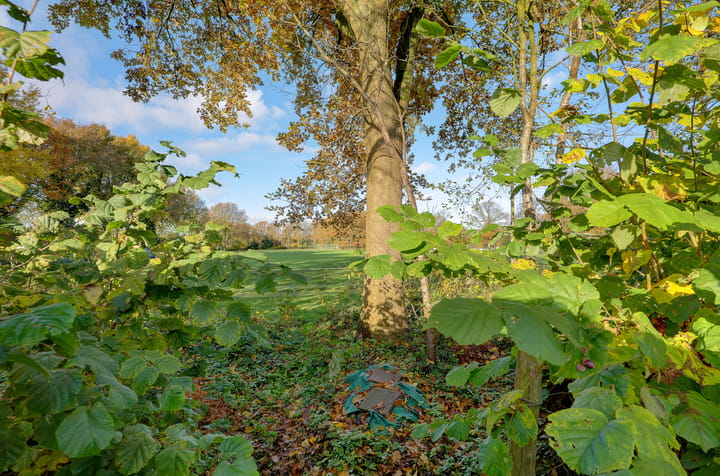 Photo 51 of Sportlaan 10