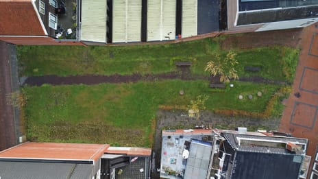 Blijhamsterstraat thumbnail