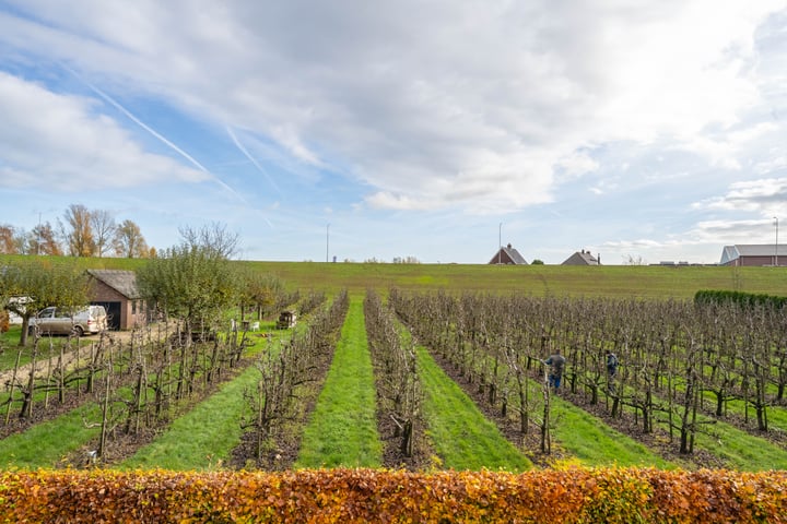 Bekijk foto 4 van Zennewijnenseweg 13