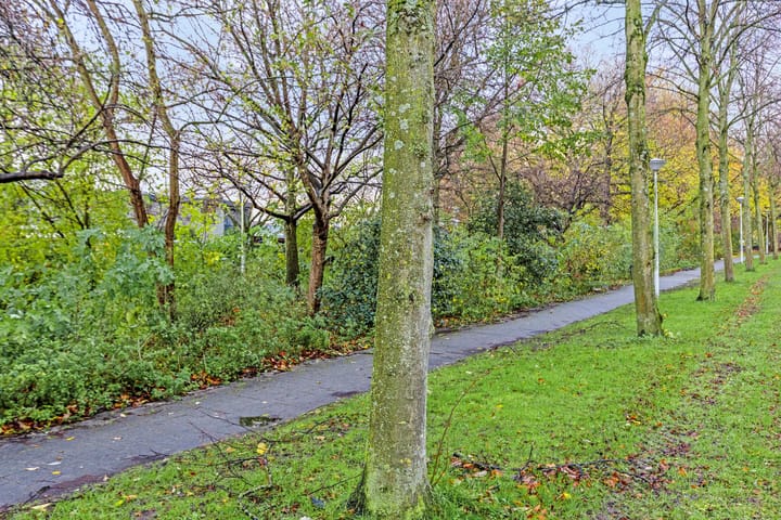 Photo 30 of Willem de Zwijgerlaan 243-E