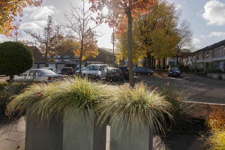 Foto 31 van Borodinstraat 86