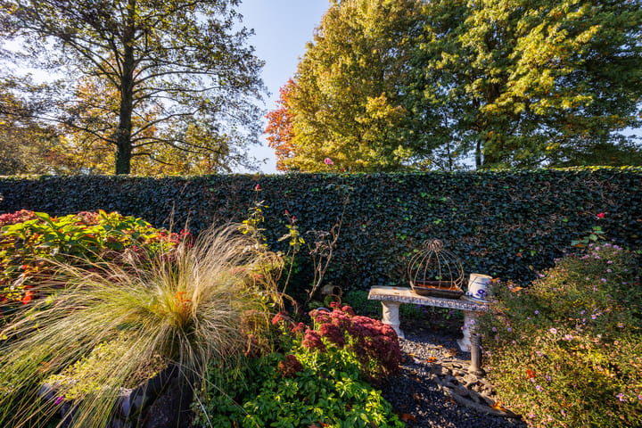 Photo 43 of Catharinaberg 7