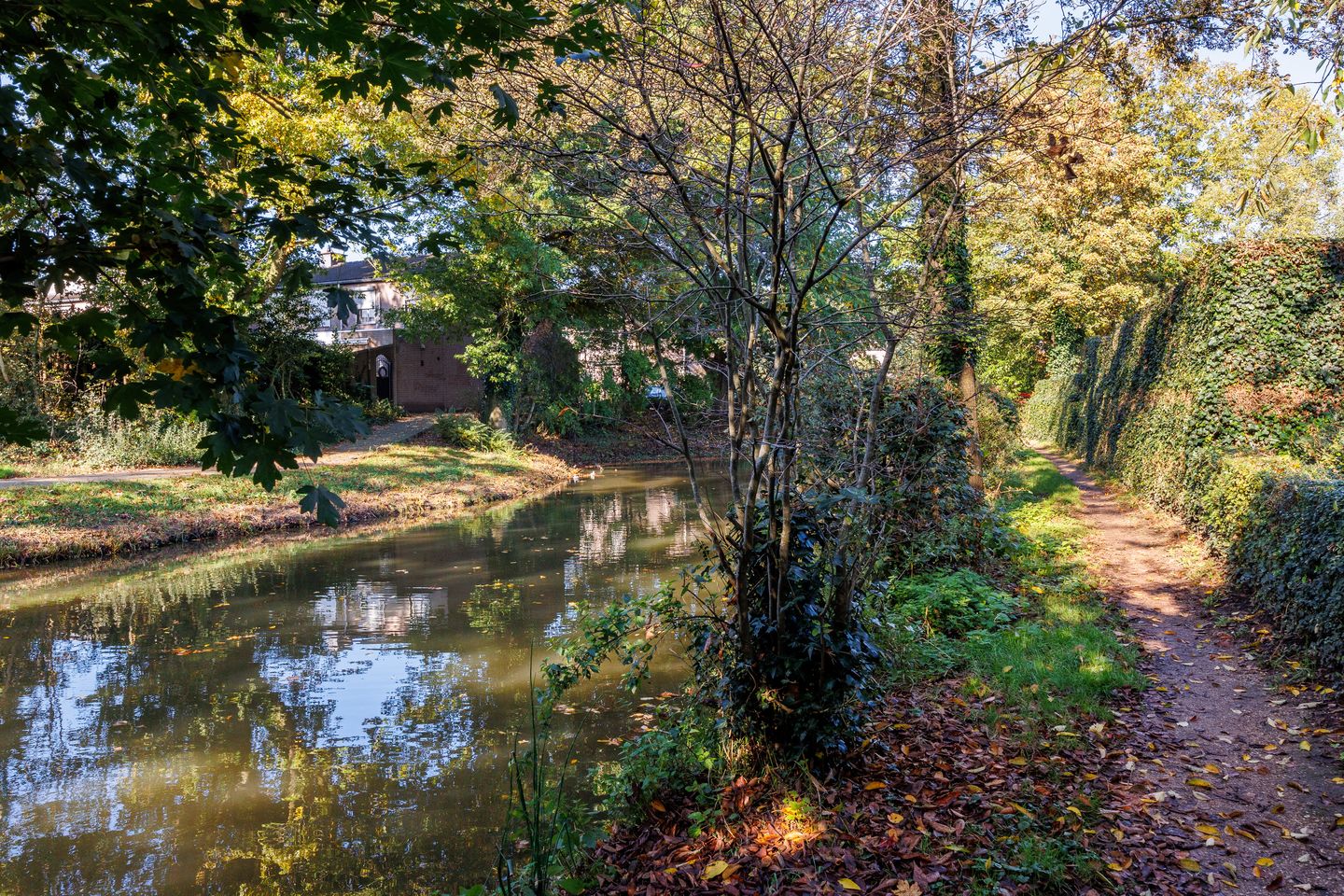 Foto 49 van Catharinaberg 7