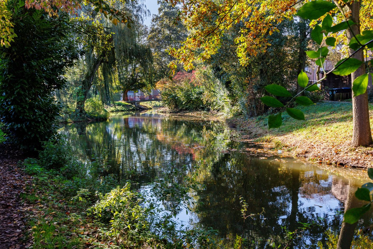 Foto 50 van Catharinaberg 7