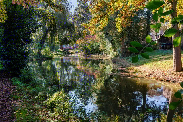 Photo 50 of Catharinaberg 7